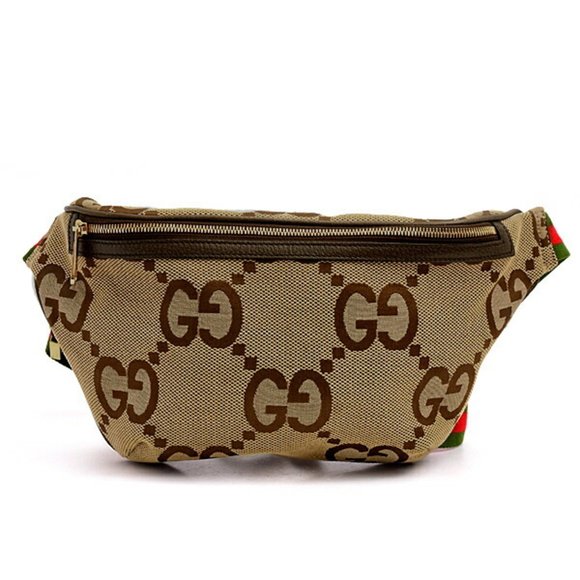 GUCCI Brown Fanny Pack - Picture 1 of 10